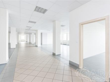 Pronájem kanceláře, 614 m²