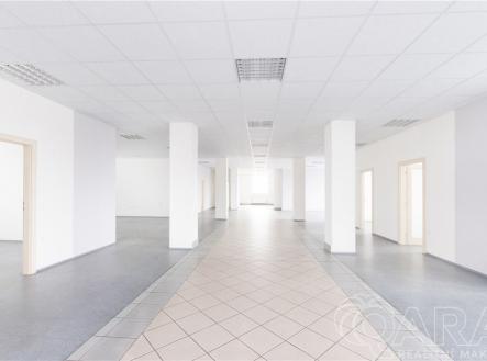 Pronájem kanceláře, 614 m²