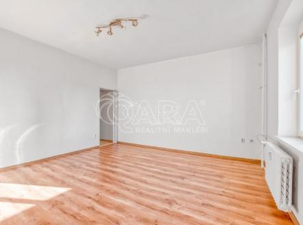 Pronájem bytu, 1+1, 43 m²