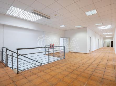 Pronájem kanceláře, 430 m²