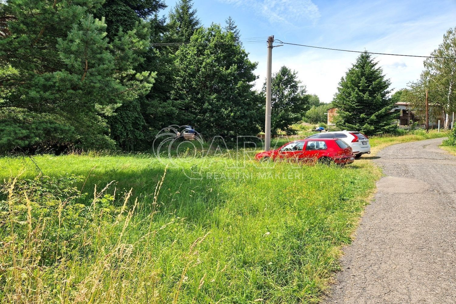fotografie