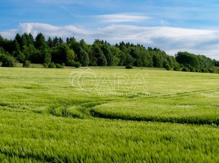 Prodej - pozemek, zemědělská půda, 72 364 m²