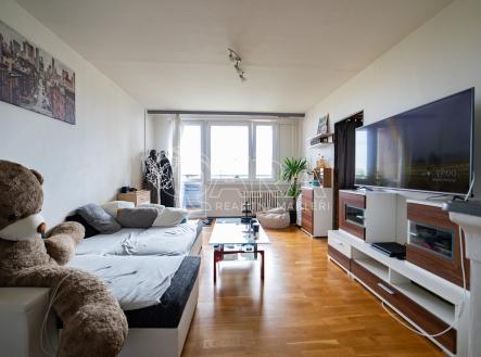 Prodej bytu, 6+1, 376 m²