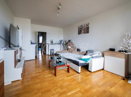 Prodej bytu, 6+1, 376 m²