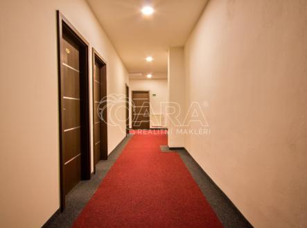 Pronájem - kanceláře, 36 m²