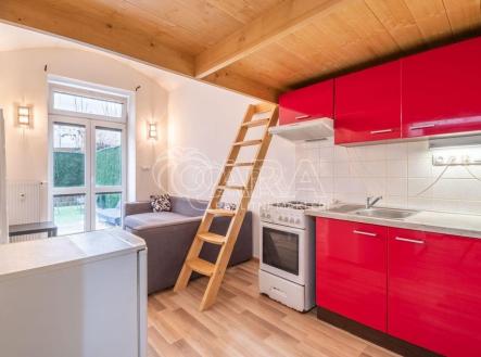 Pronájem bytu, 1+kk, 45 m²