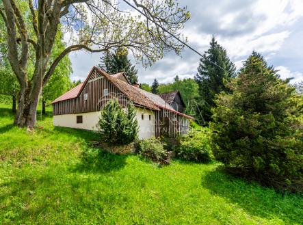 Pronájem - dům/vila, 220 m²