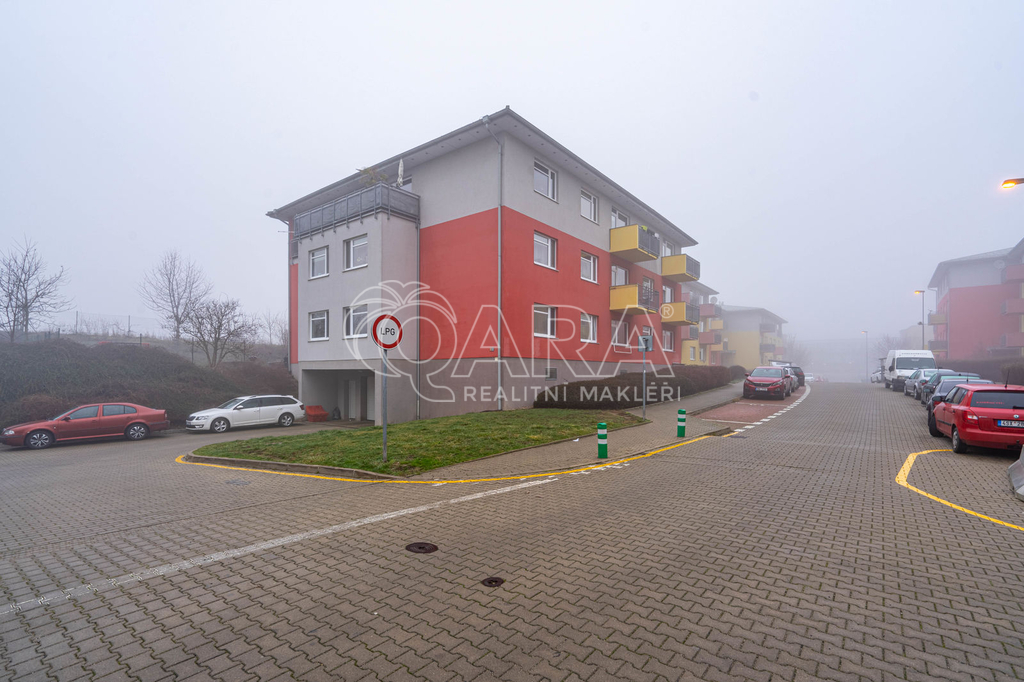 Fotku se nepodařilo načíst.