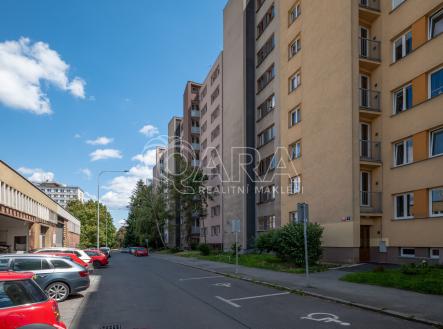 belcicka-2822-18.jpg