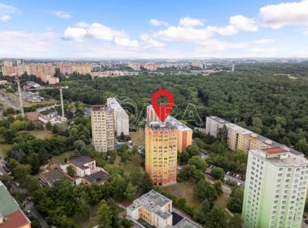 qara.cz