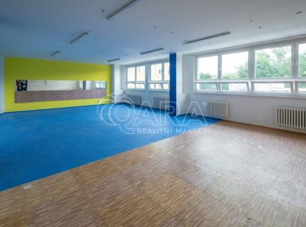 Pronájem - kanceláře, 261 m²