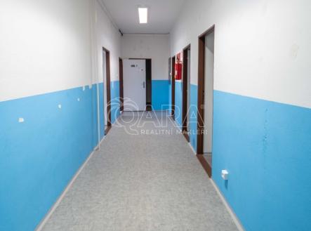 Pronájem - kanceláře, 261 m²