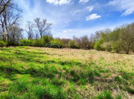 Prodej pozemku, zahrada, 2 892 m²