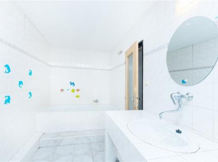 Prodej domu/vily, 232 m²