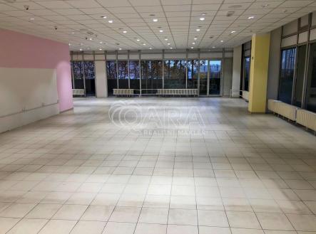 Pronájem obchodní prostor, 280 m²