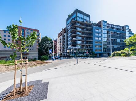 Pronájem bytu, 2+kk, 64 m²