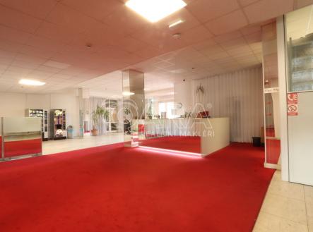 Pronájem kanceláře, 18 m²