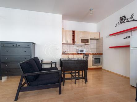 Pronájem bytu, 1+kk, 45 m²