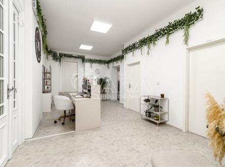 Pronájem jiné, 51 m²