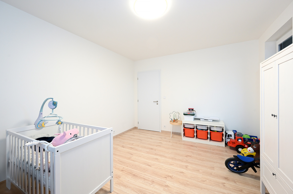 Fotku se nepodařilo načíst.