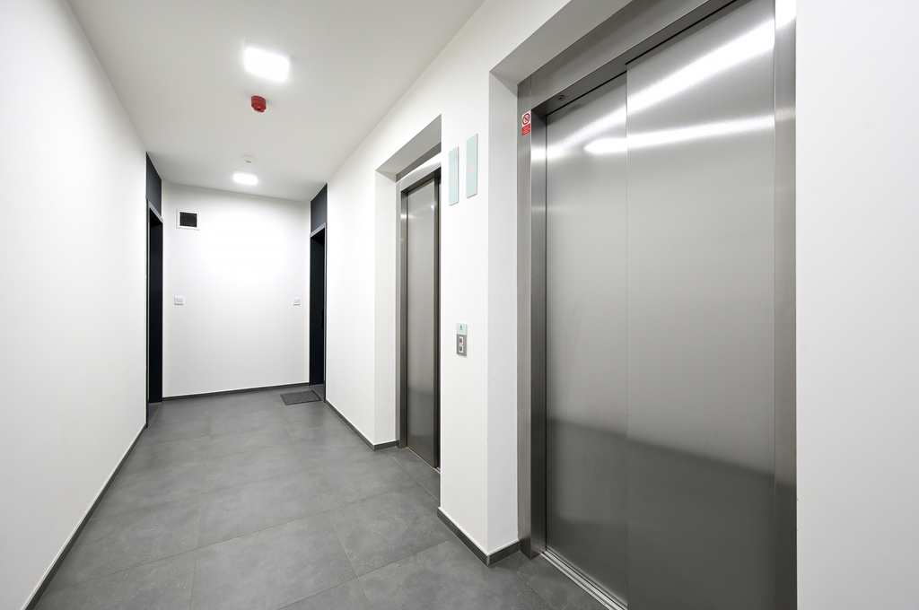 Fotku se nepodařilo načíst.