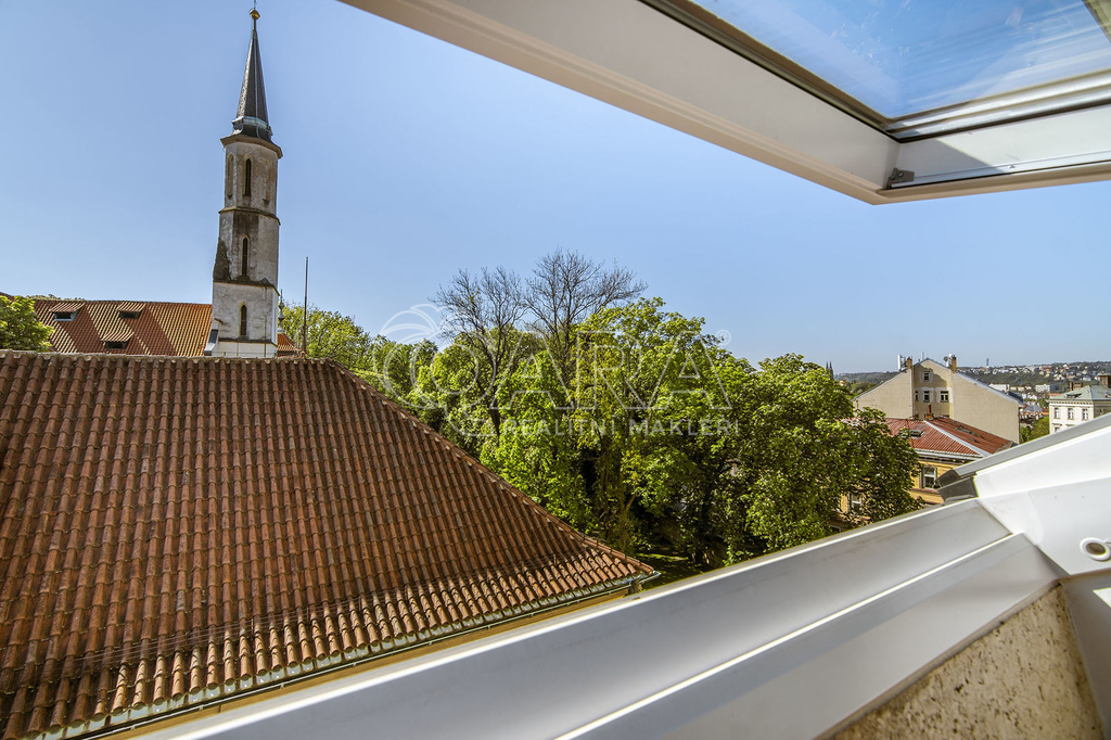 Fotku se nepodařilo načíst.