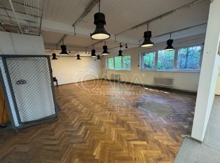 Pronájem skladu, 100 m²