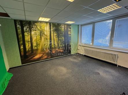 Pronájem kanceláře, 100 m²