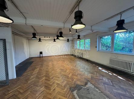 Pronájem kanceláře, 100 m²