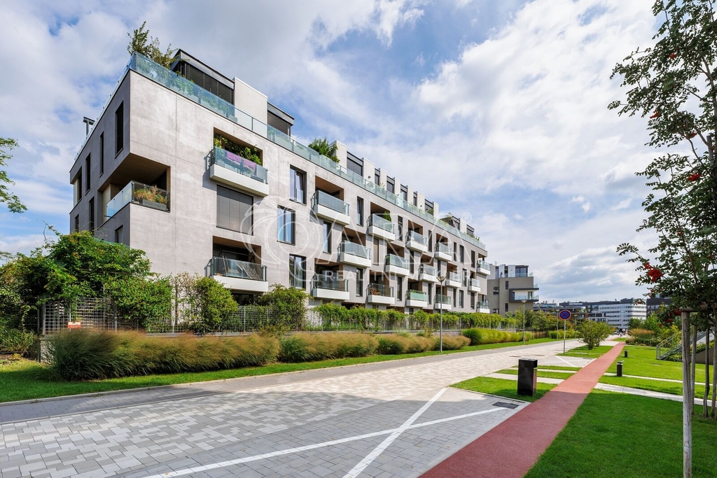 Fotku se nepodařilo načíst.