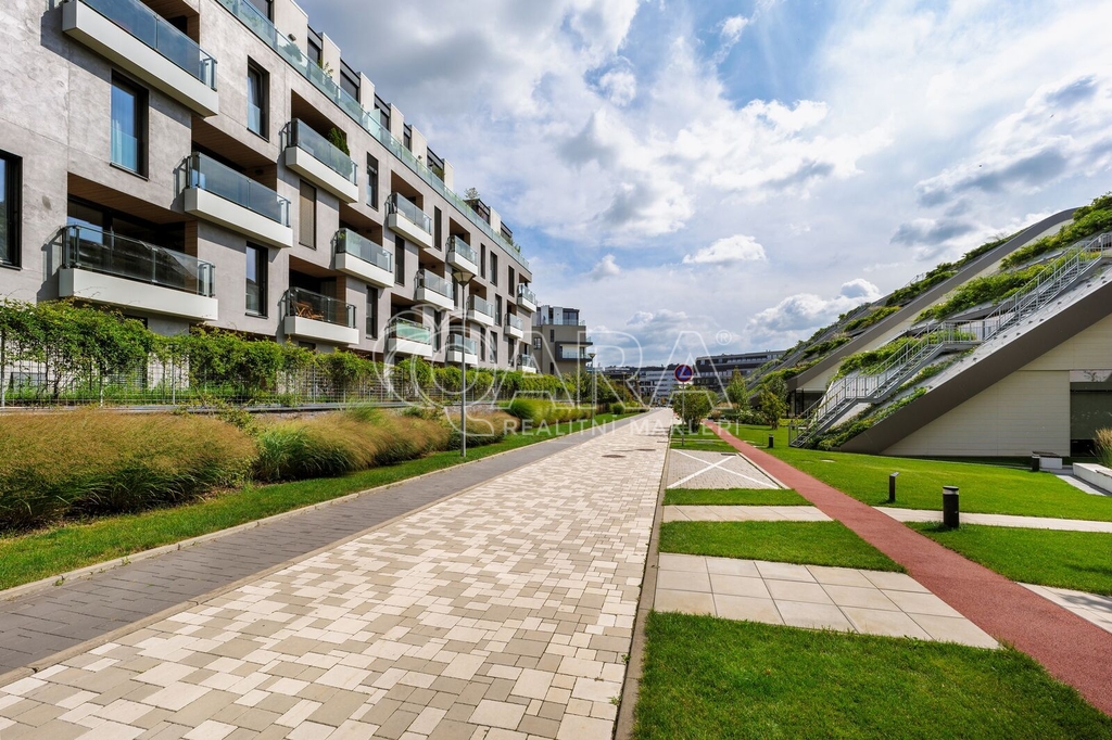 Fotku se nepodařilo načíst.