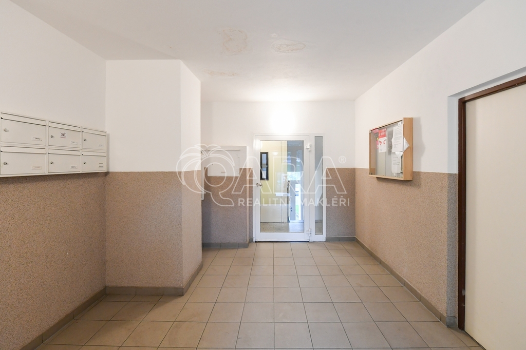 Fotku se nepodařilo načíst.