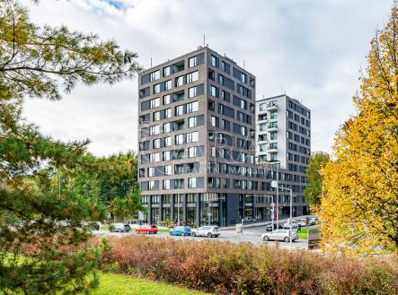 Pronájem kanceláře, 87 m²