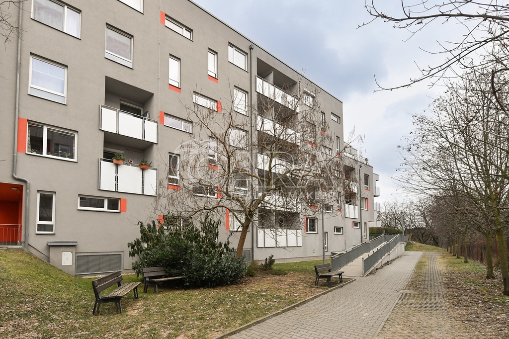 Fotku se nepodařilo načíst.