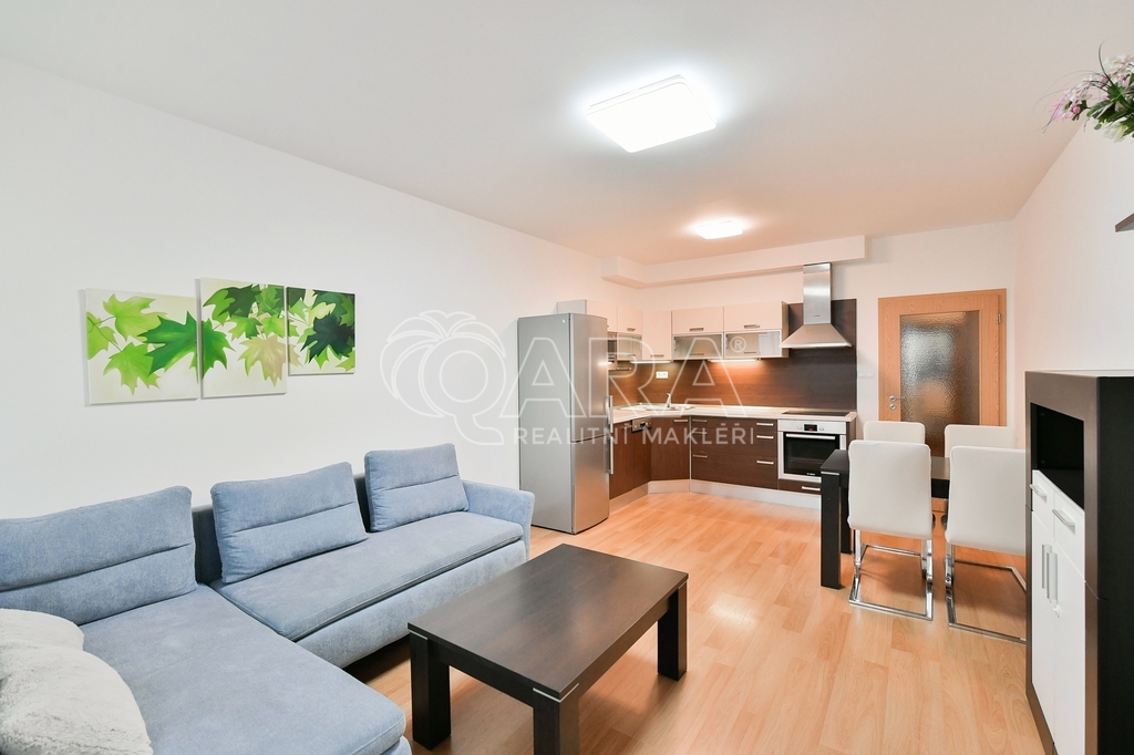 Fotku se nepodařilo načíst.