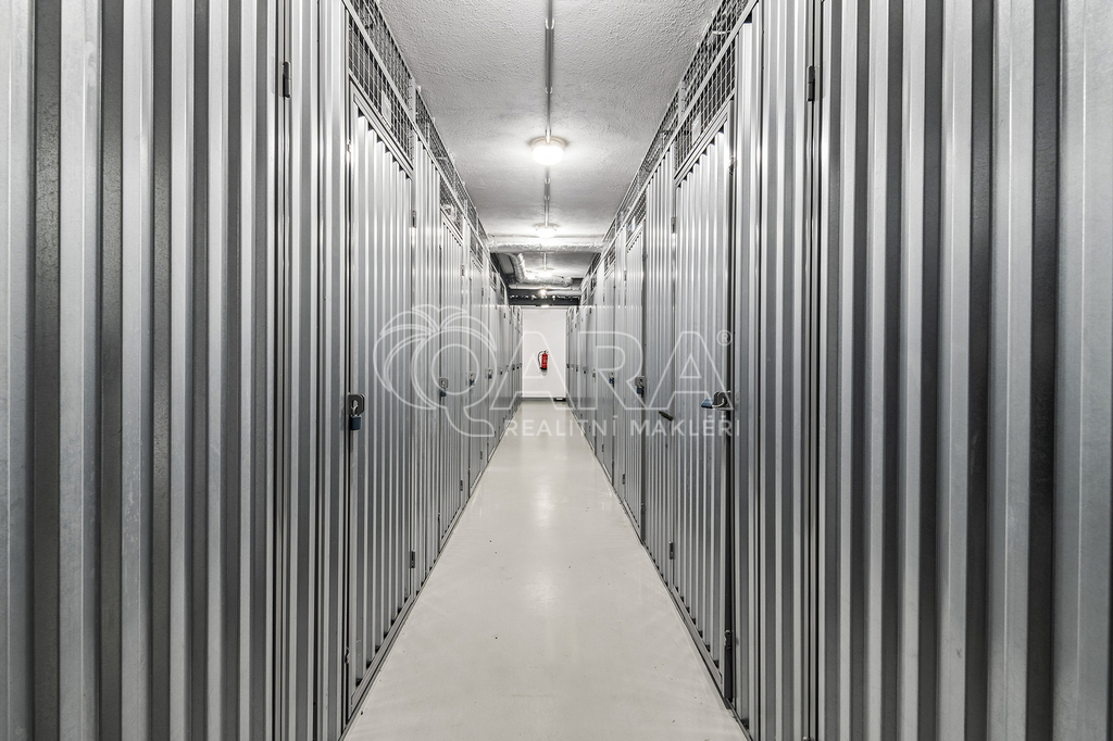 Fotku se nepodařilo načíst.