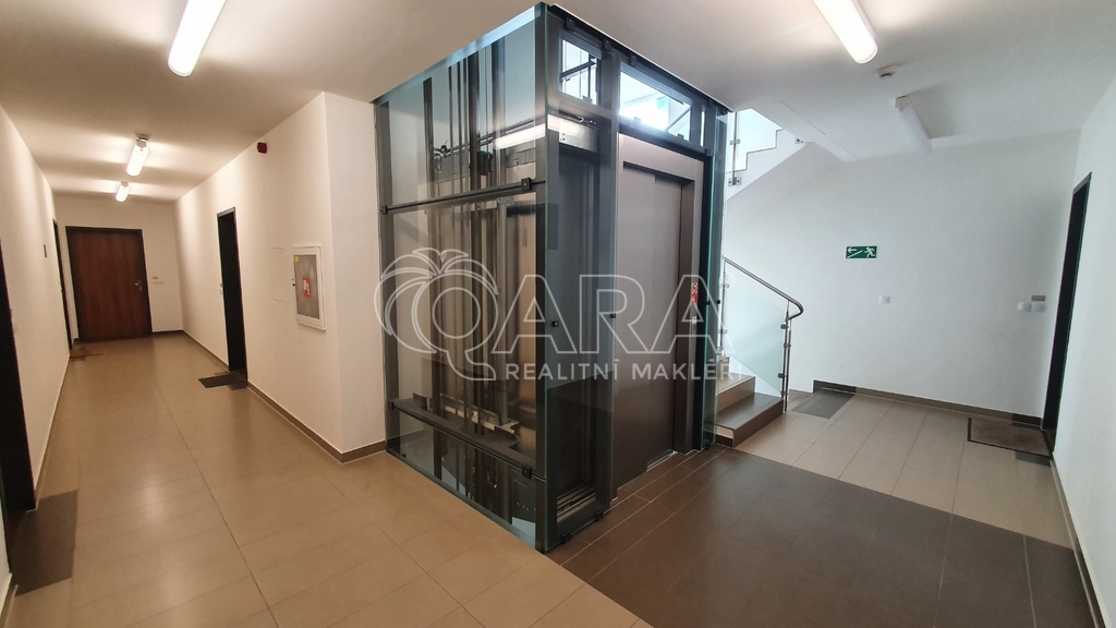 Fotku se nepodařilo načíst.