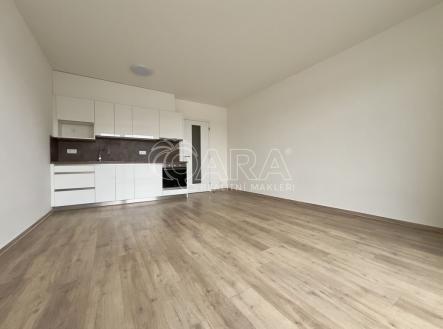 Pronájem bytu, 1+kk, 41 m²
