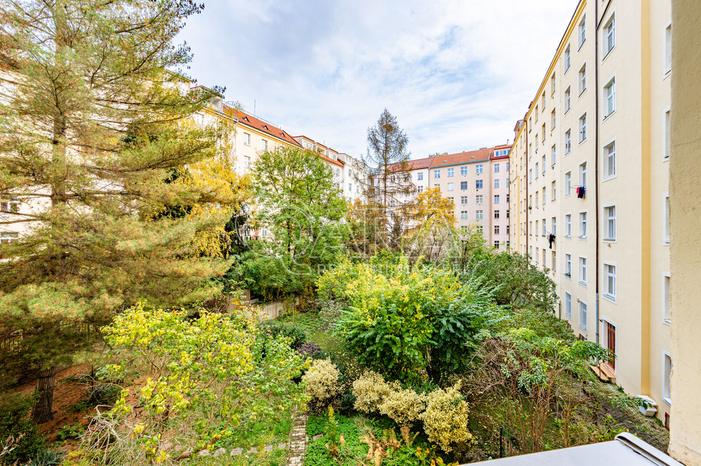 Fotku se nepodařilo načíst.