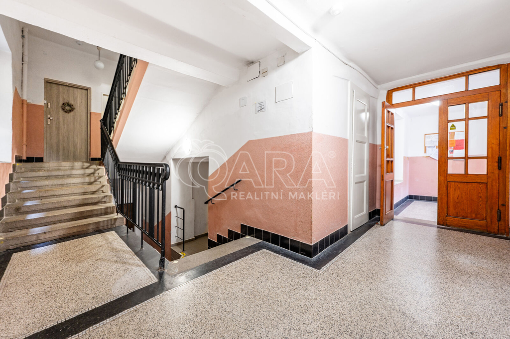 Fotku se nepodařilo načíst.