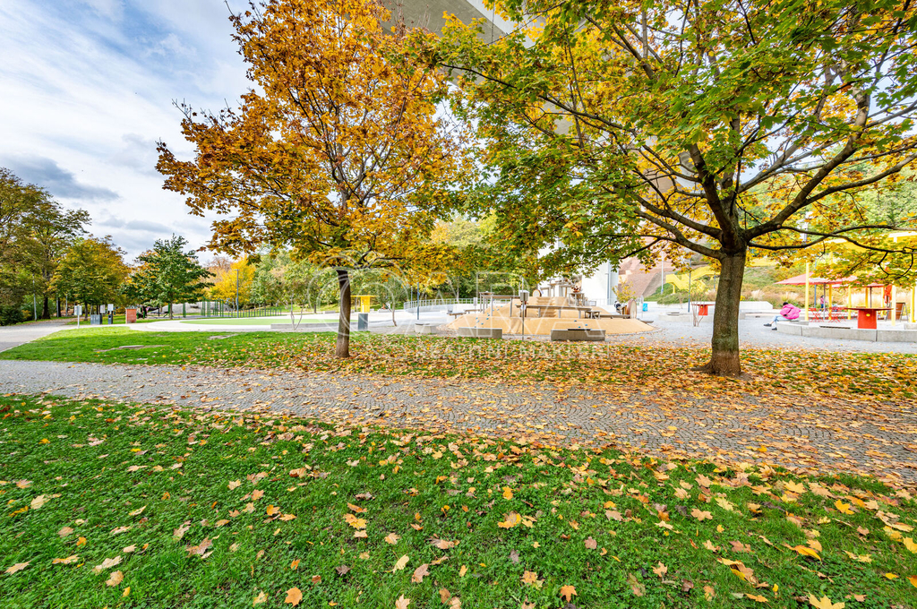 Fotku se nepodařilo načíst.