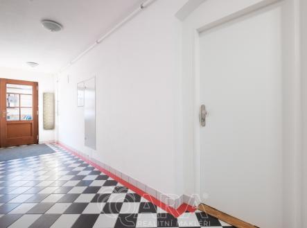 Pronájem bytu, 1+kk, 453 m²