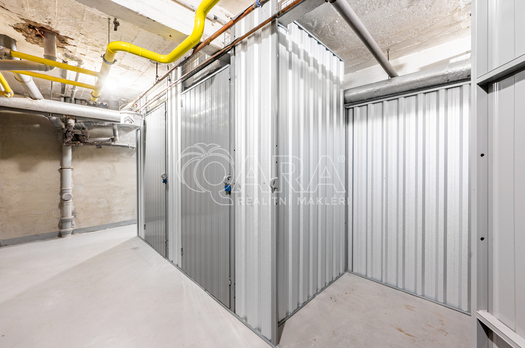 Fotku se nepodařilo načíst.