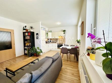 Pronájem bytu, 2+kk, 59 m²