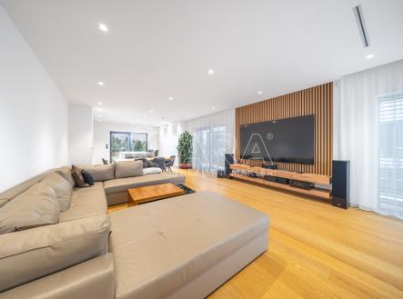 Pronájem domu/vily, 313 m²