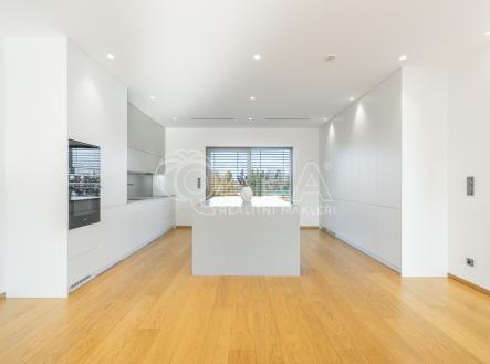 Pronájem domu/vily, 313 m²