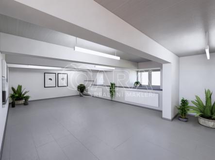 Prodej obchodní prostor, 172 m²