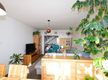 Prodej bytu, 4+kk, 88 m²