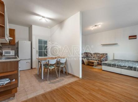 Pronájem bytu, 1+1, 46 m²