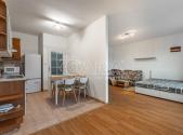 Pronájem bytu, 1+1, 46 m²